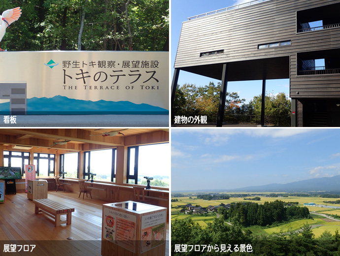 トキのテラスの看板・建物の外観・展望フロア・展望フロアから見える景色