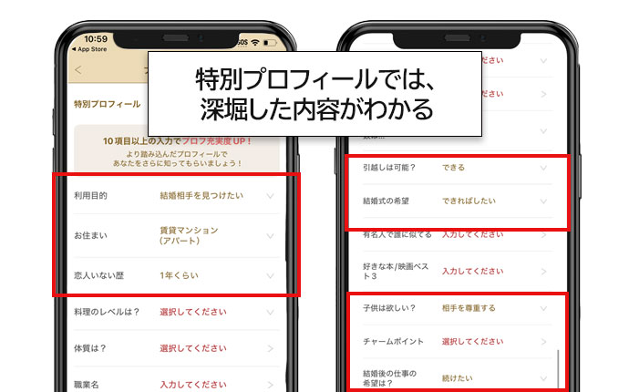 マリッシュの特別プロフィール
